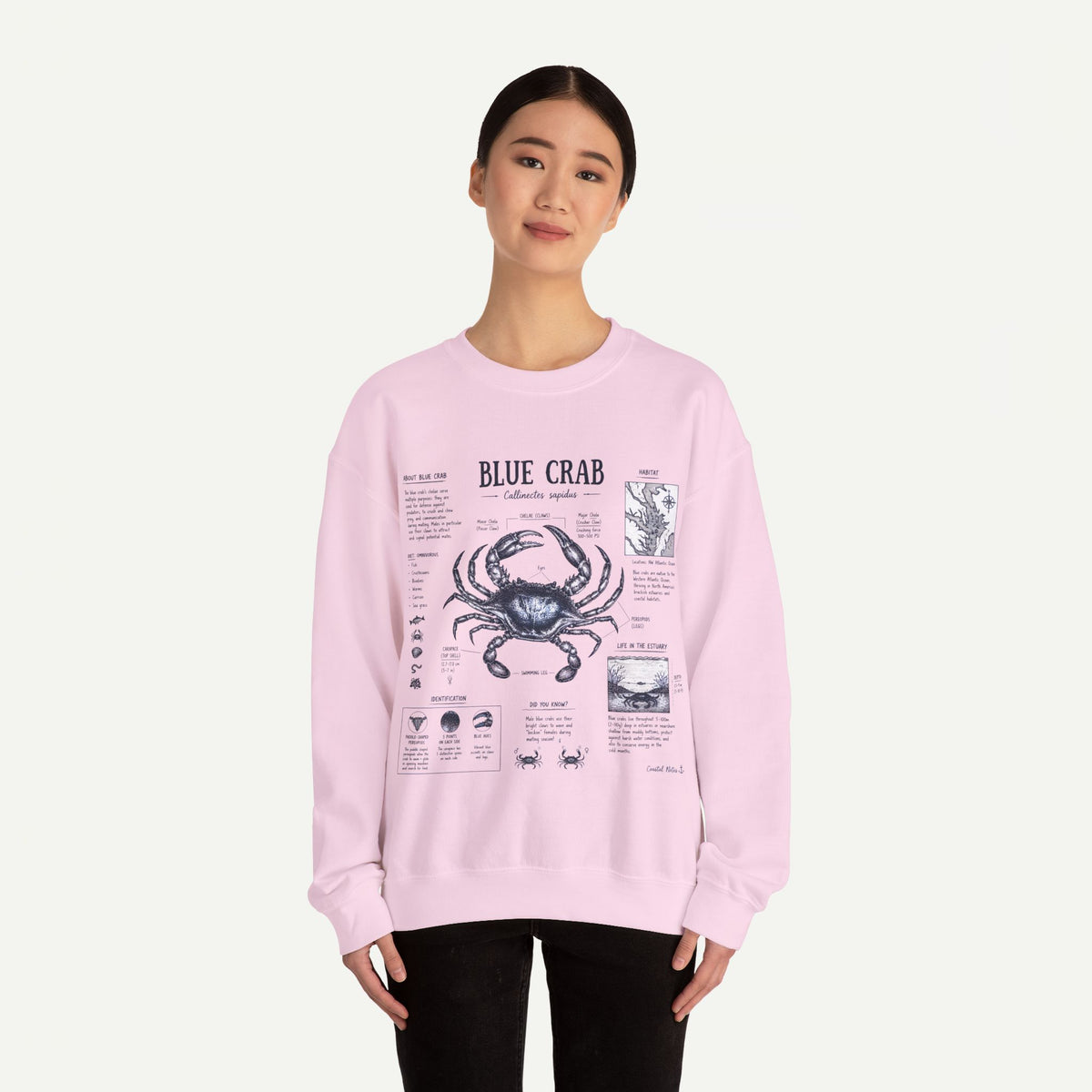 Blue Crab Anatomy Sweatshirt