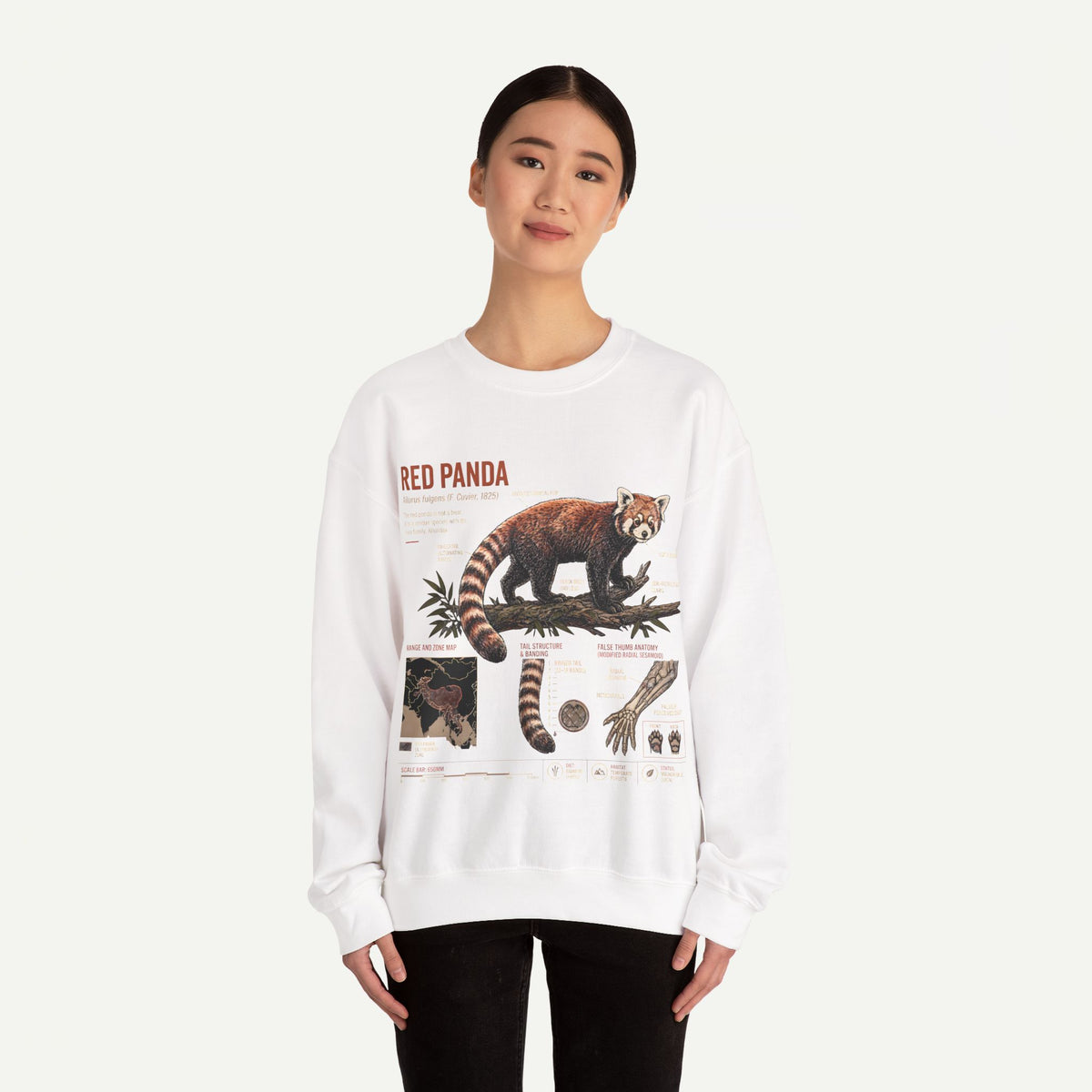 Red Panda Anatomy Sweatshirt — Vintage Wildlife Crewneck