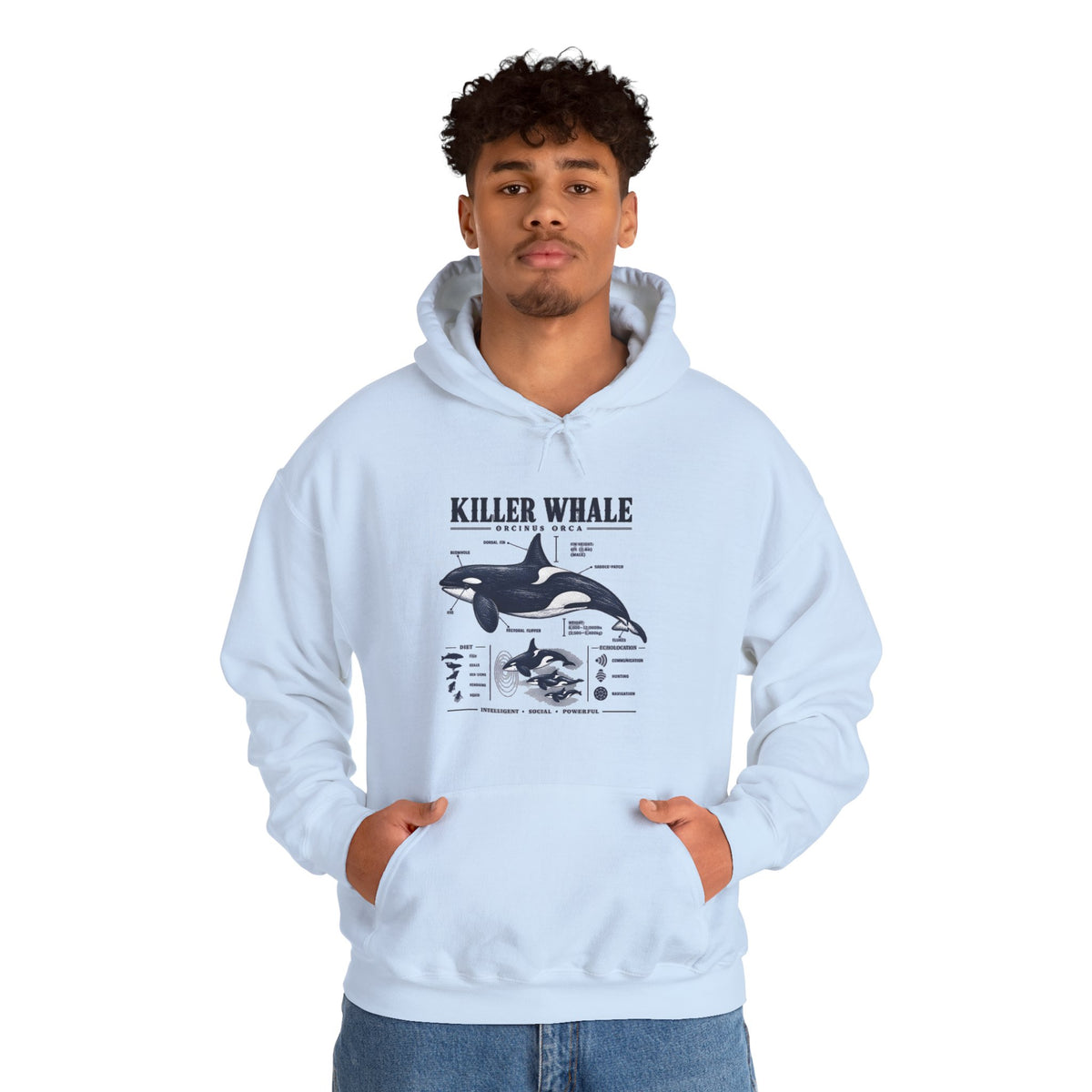 Killer Whale Anatomy Hoodie — Orca Scientific Diagram Sweatshirt