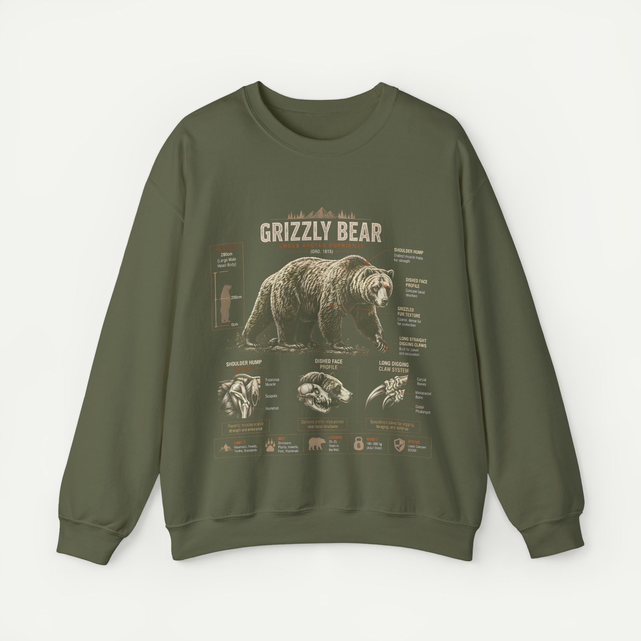 Grizzly Bear Anatomy Crewneck Sweatshirt — Vintage Wildlife Graphic Pullover Secondary image