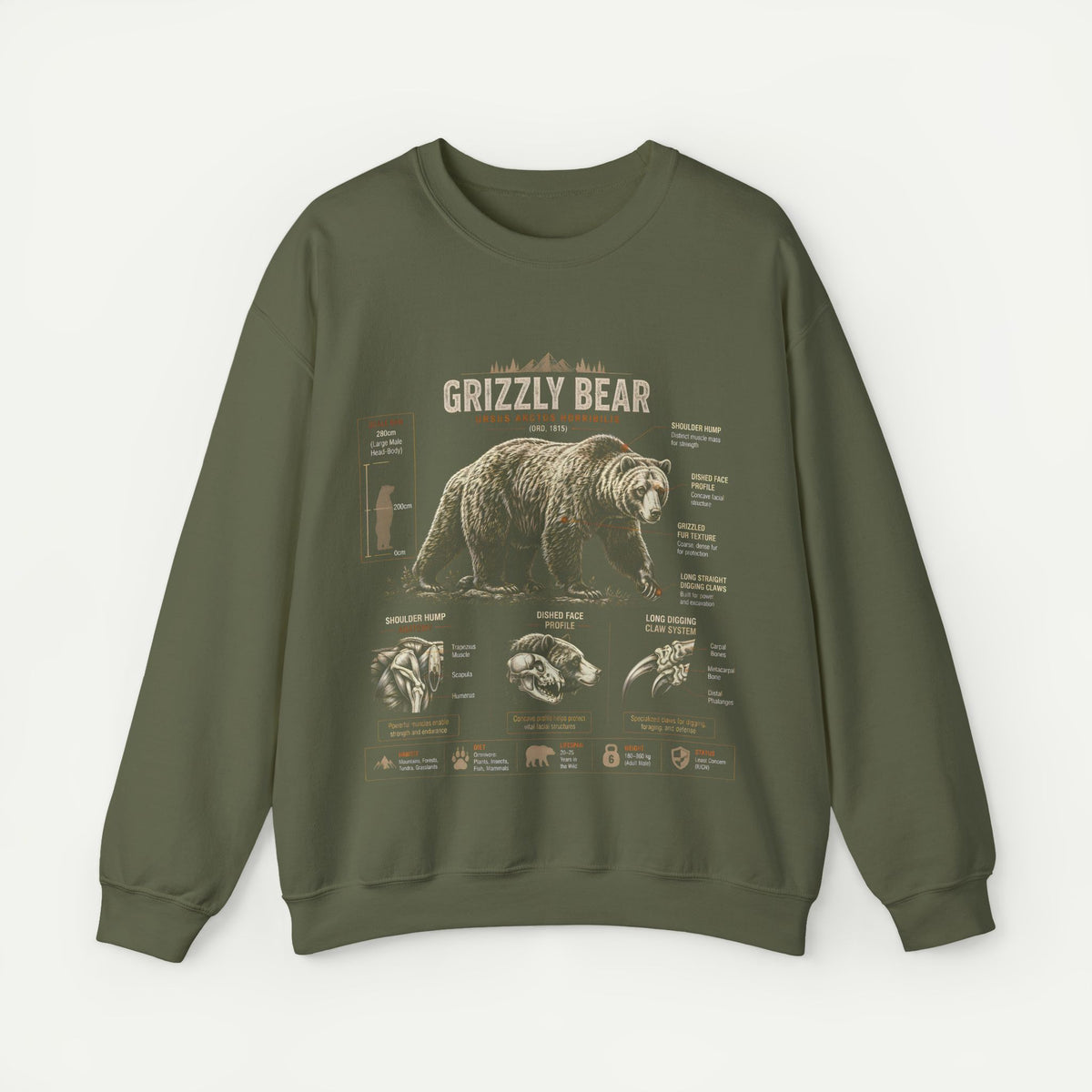 Grizzly Bear Anatomy Crewneck Sweatshirt — Vintage Wildlife Graphic Pullover
