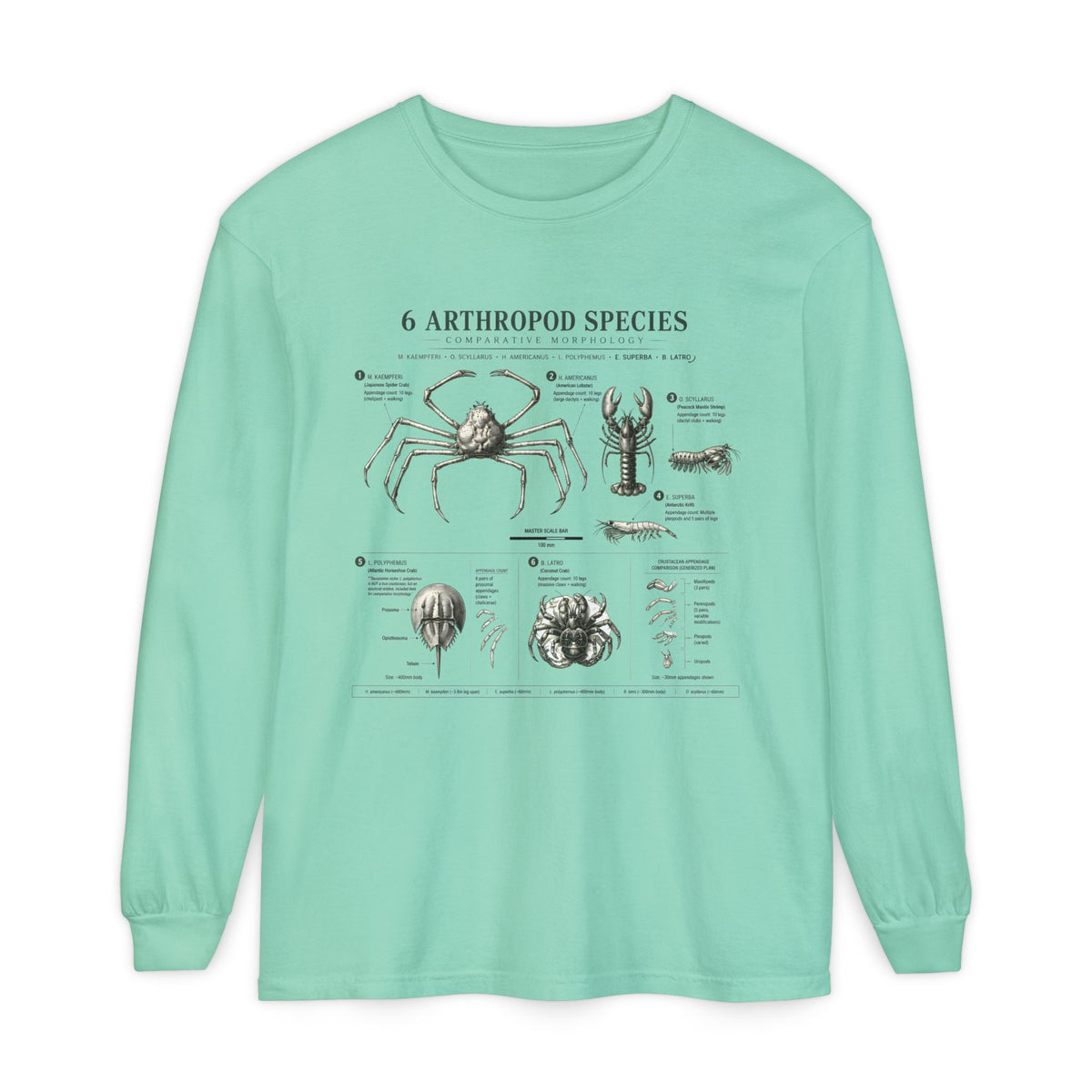 Arthropod Species Chart Long Sleeve Tee — Vintage Scientific Insect Diagram Shirt