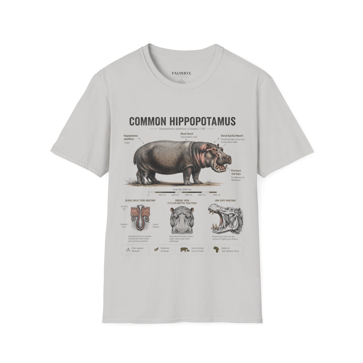 Common Hippopotamus Anatomy T-Shirt — Vintage Natural History Hippo Tee
