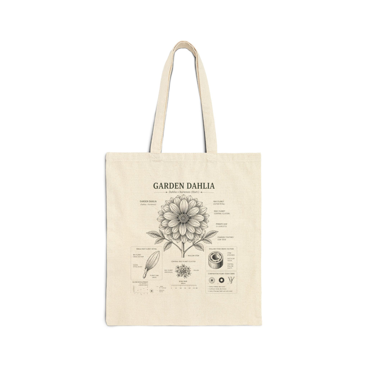 Dahlia Botanical Tote Bag — Garden Illustration Cotton Canvas Market Bag