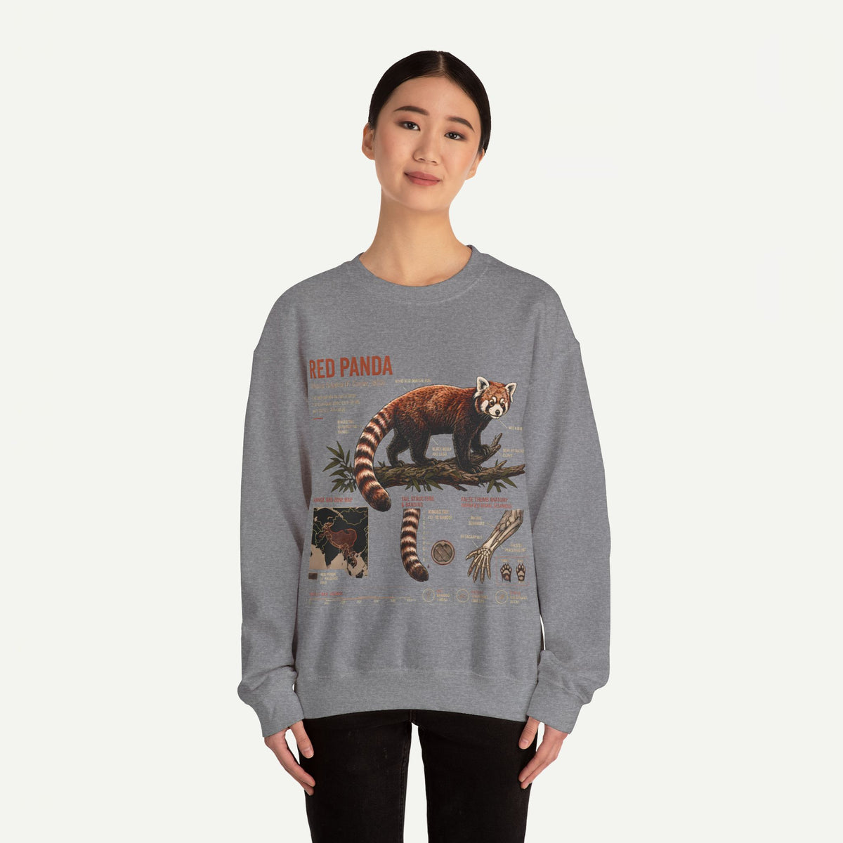 Red Panda Anatomy Sweatshirt — Vintage Wildlife Crewneck