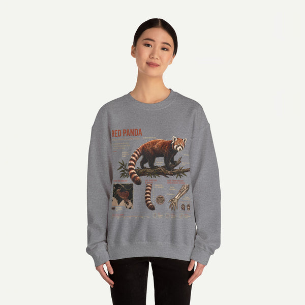 Red Panda Anatomy Sweatshirt — Vintage Wildlife Crewneck