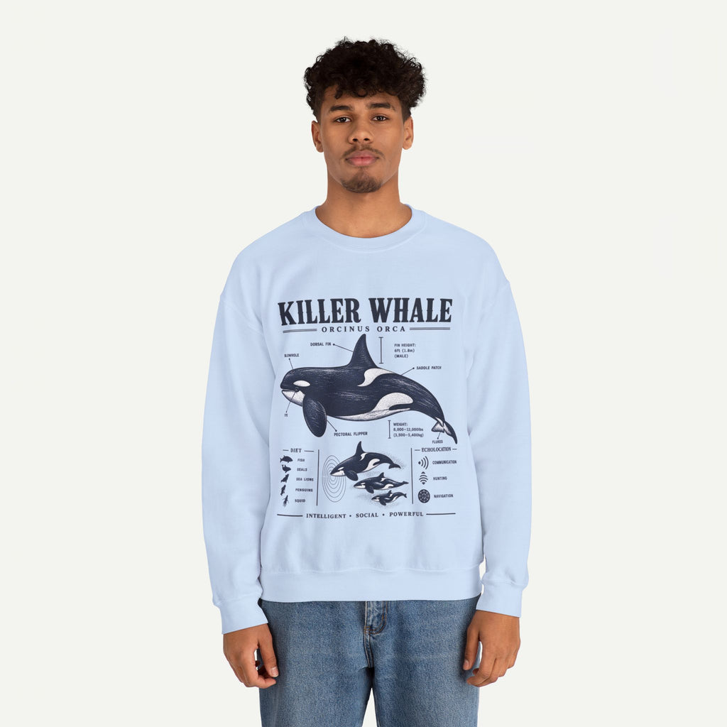 Killer Whale Anatomy Sweatshirt