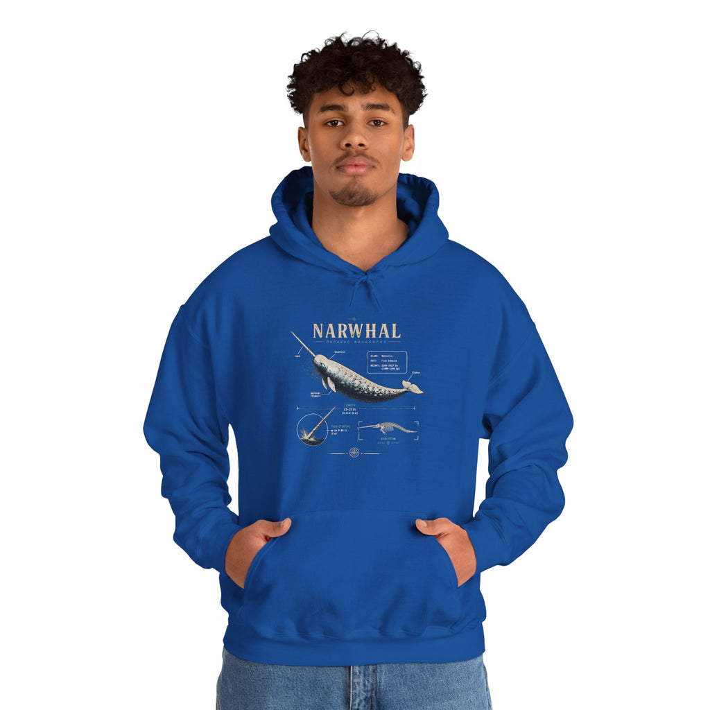 Narwhal Hoodie — Vintage Tailplane Illustration, Aviation Crew Sweatshirt