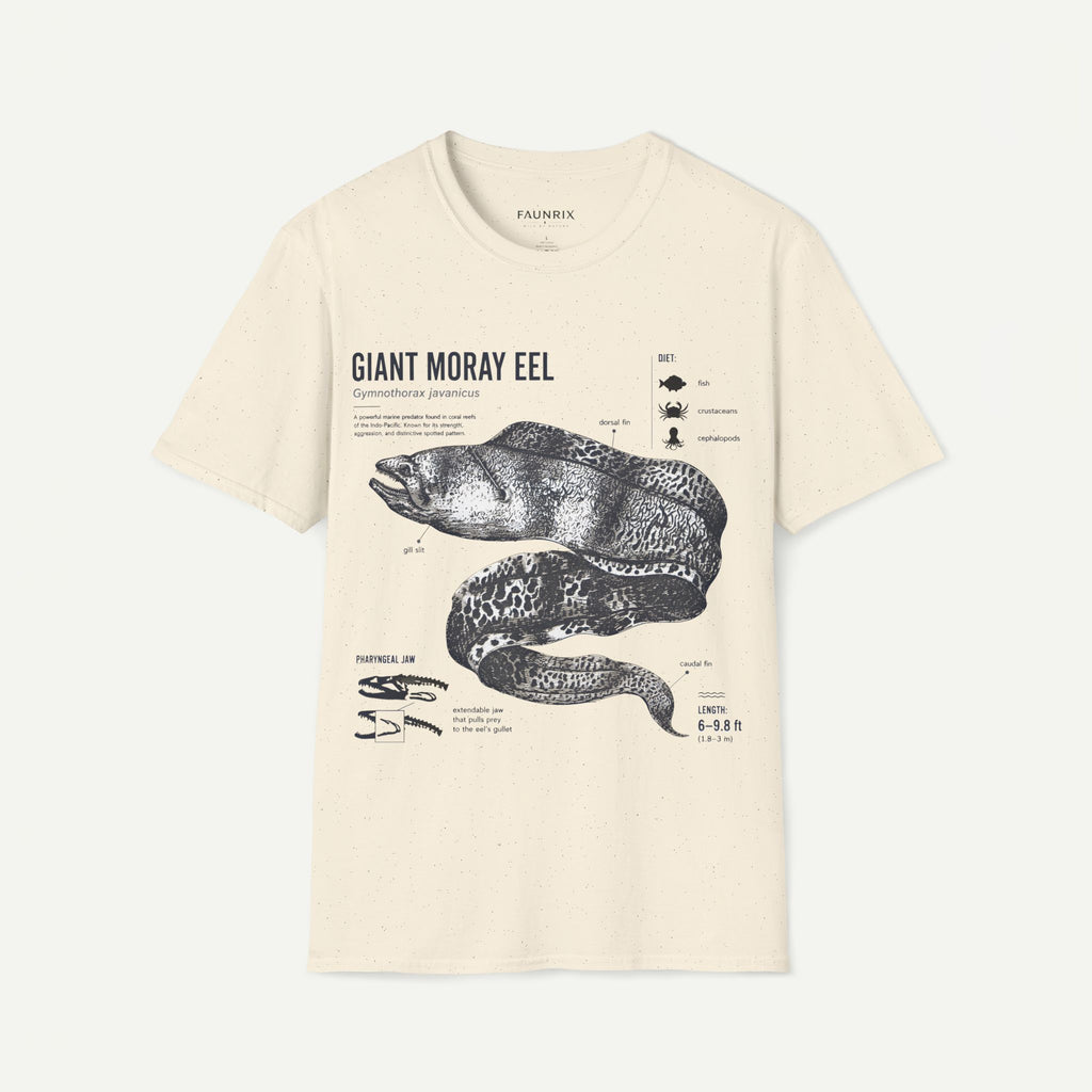 Moray Eel Anatomy Graphic T-Shirt — Vintage Scientific Illustration Tee
