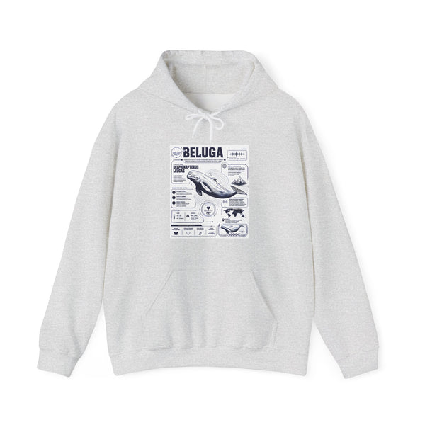 Beluga Whale Graphic Hoodie - Marine Life Diagram Sweatshirt