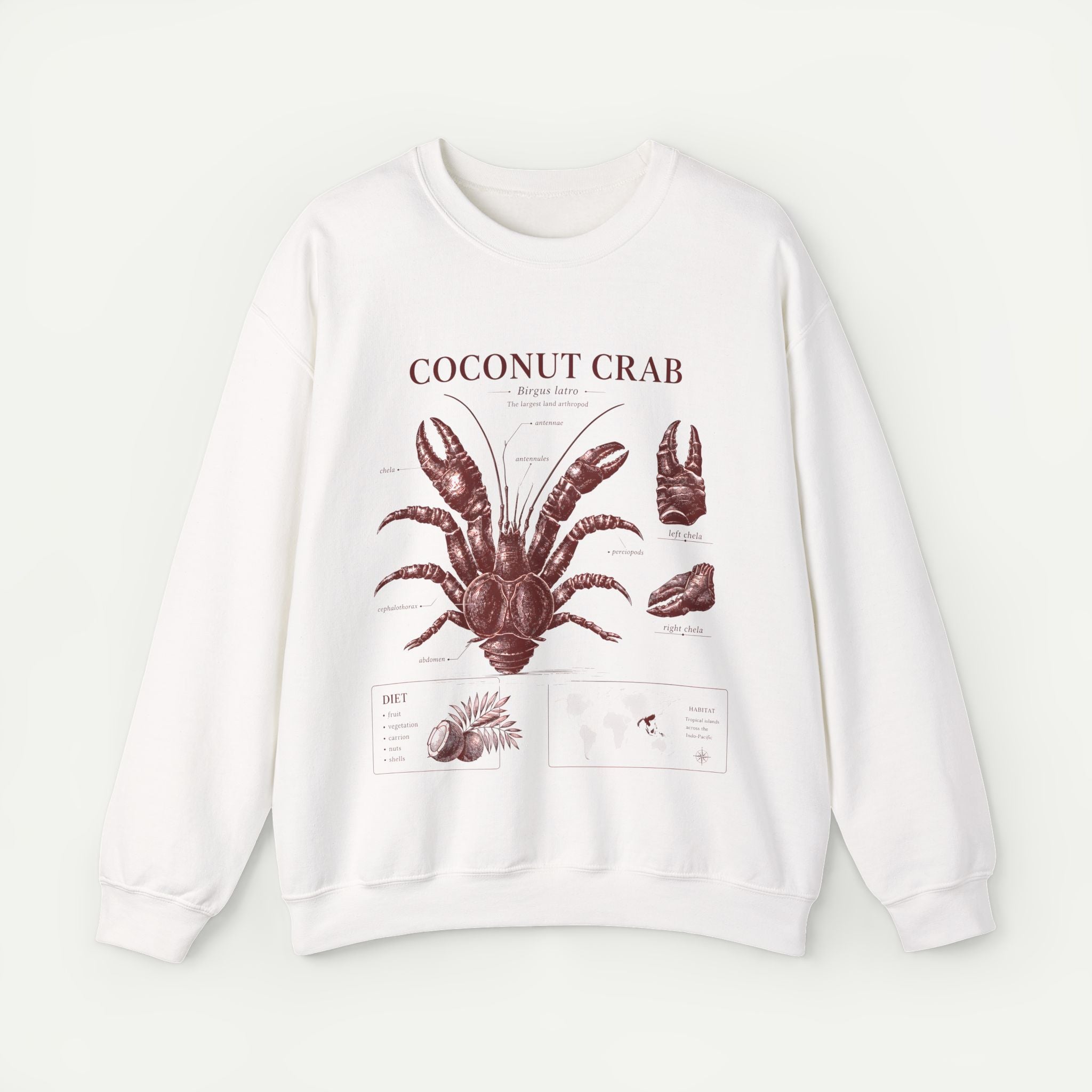 Coconut Crab Anatomy Crewneck Sweatshirt Secondary image