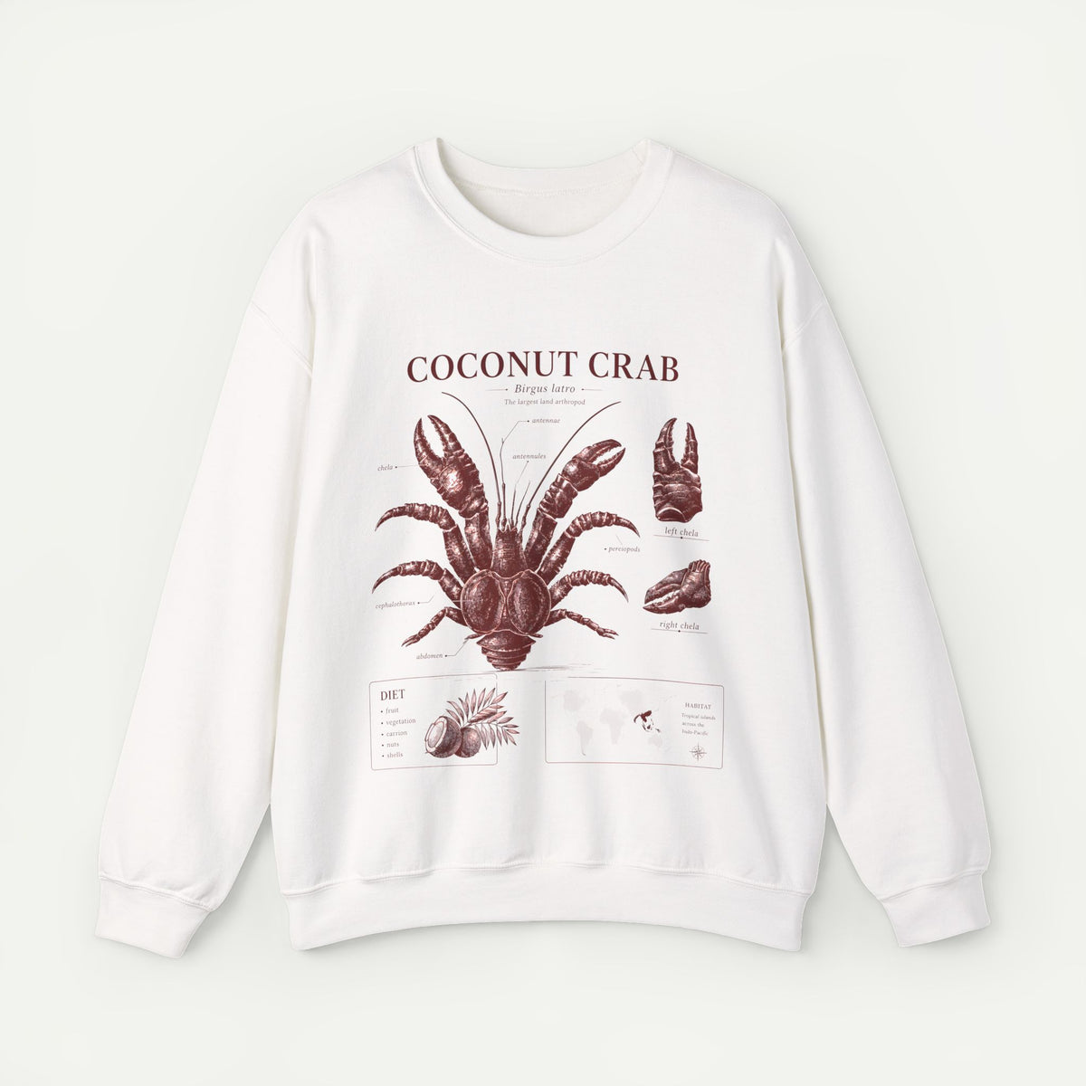 Coconut Crab Anatomy Crewneck Sweatshirt