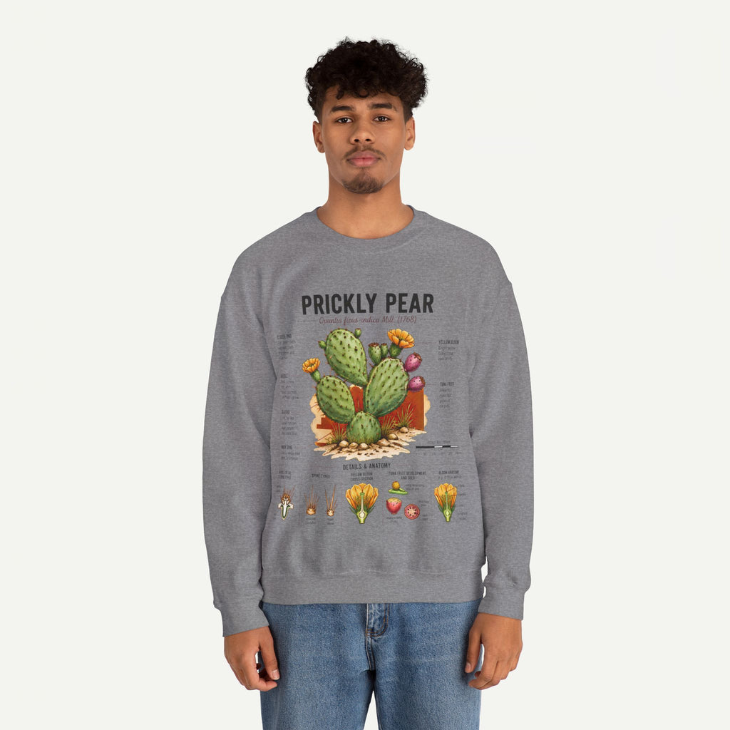 Prickly Pear Botanical Sweatshirt — Cactus Illustration Guide Crewneck