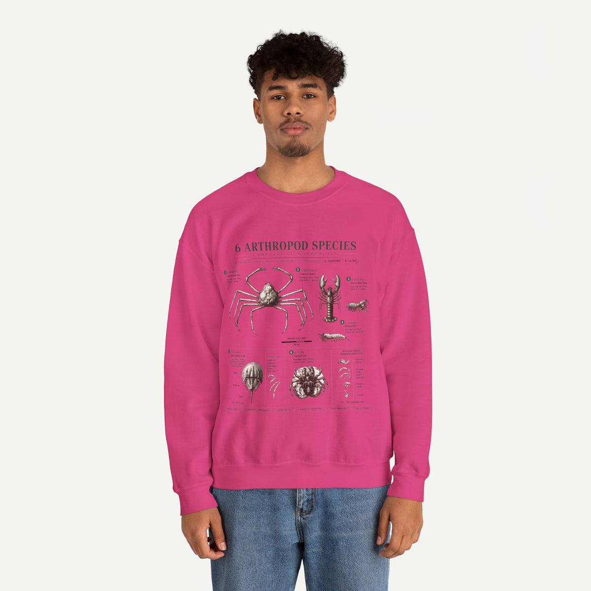 Arthropod Species Crewneck Sweatshirt — Vintage Scientific Bug Anatomy Pullover