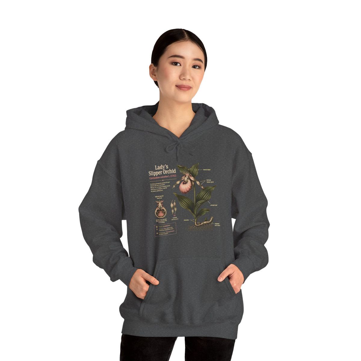 Botanical Peach Illustration Hoodie — Vintage Botanical Chart Sweatshirt