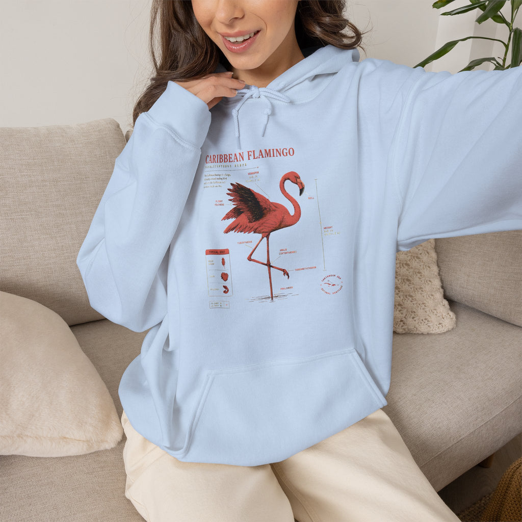 Flamingo Anatomy Hoodie – Caribbean Flamingo Scientific Diagram Sweatshirt