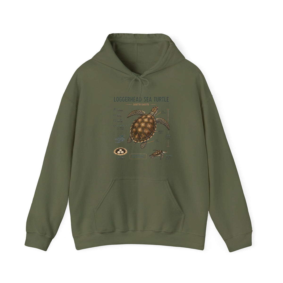Loggerhead Sea Turtle Diagram Hoodie – Marine Biology Illustration Sweatshirt