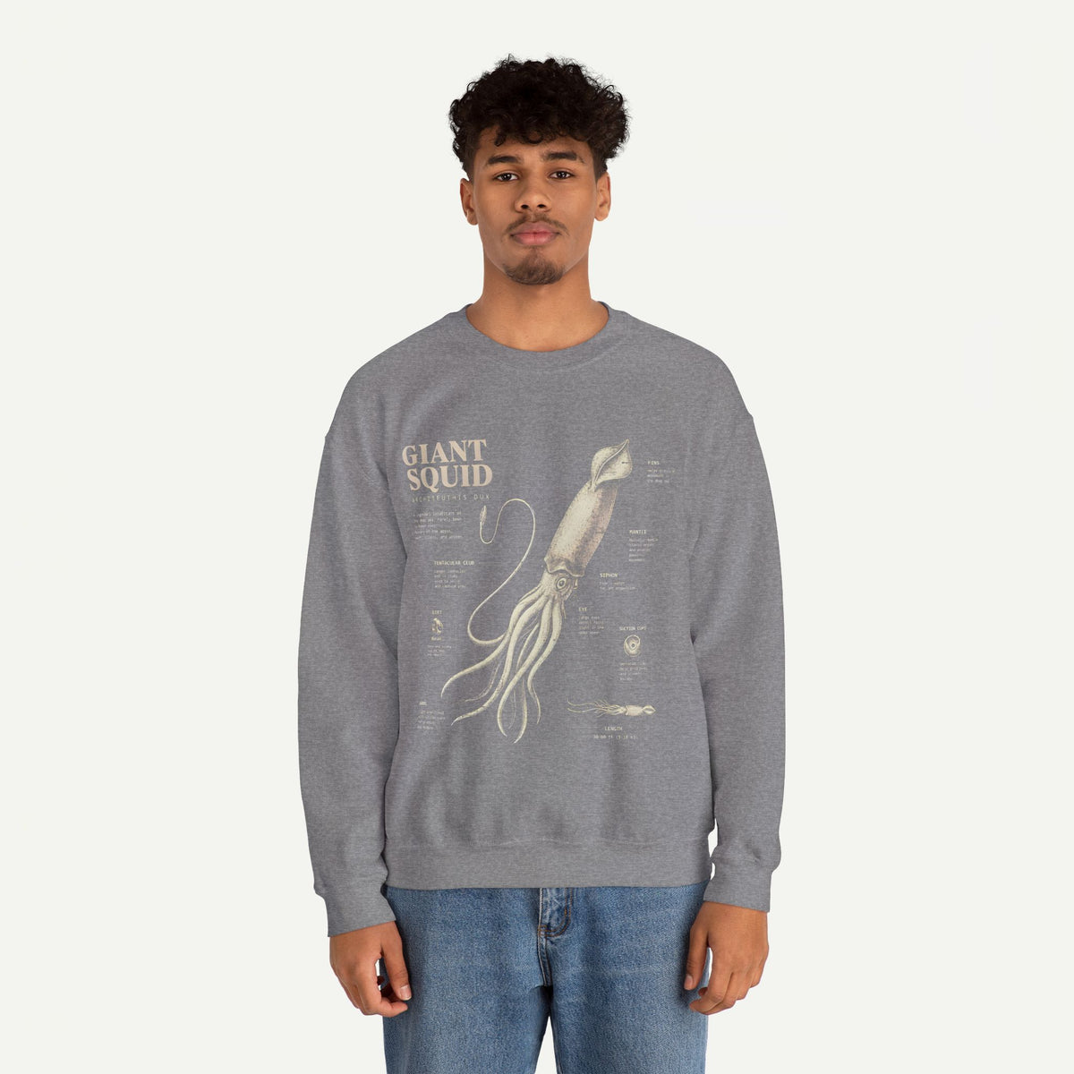 Giant Squid Anatomy Sweatshirt — Vintage Nautical Marine Biology Crewneck