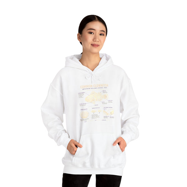 Hoodie — Cheesecake Flavor Chart Graphic Hoodie