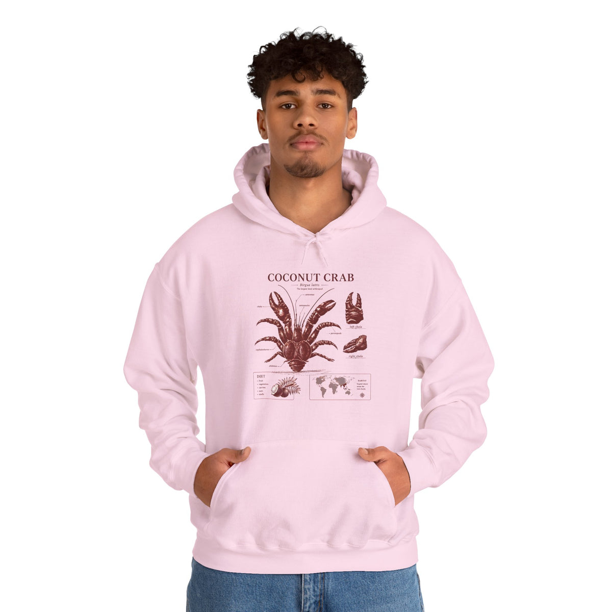 Coconut Crab Anatomy Hoodie — Vintage Botanical & Marine Study Print