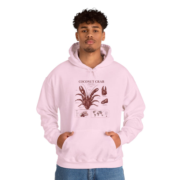 Coconut Crab Anatomy Hoodie — Vintage Botanical & Marine Study Print