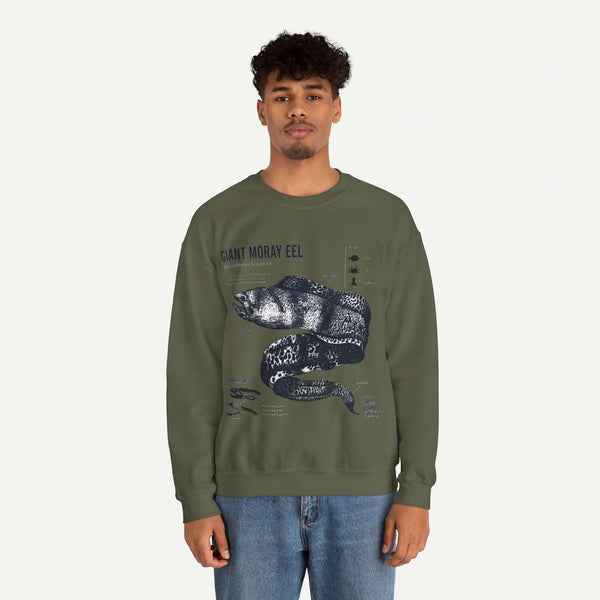 Giant Moray Eel Anatomy Sweatshirt