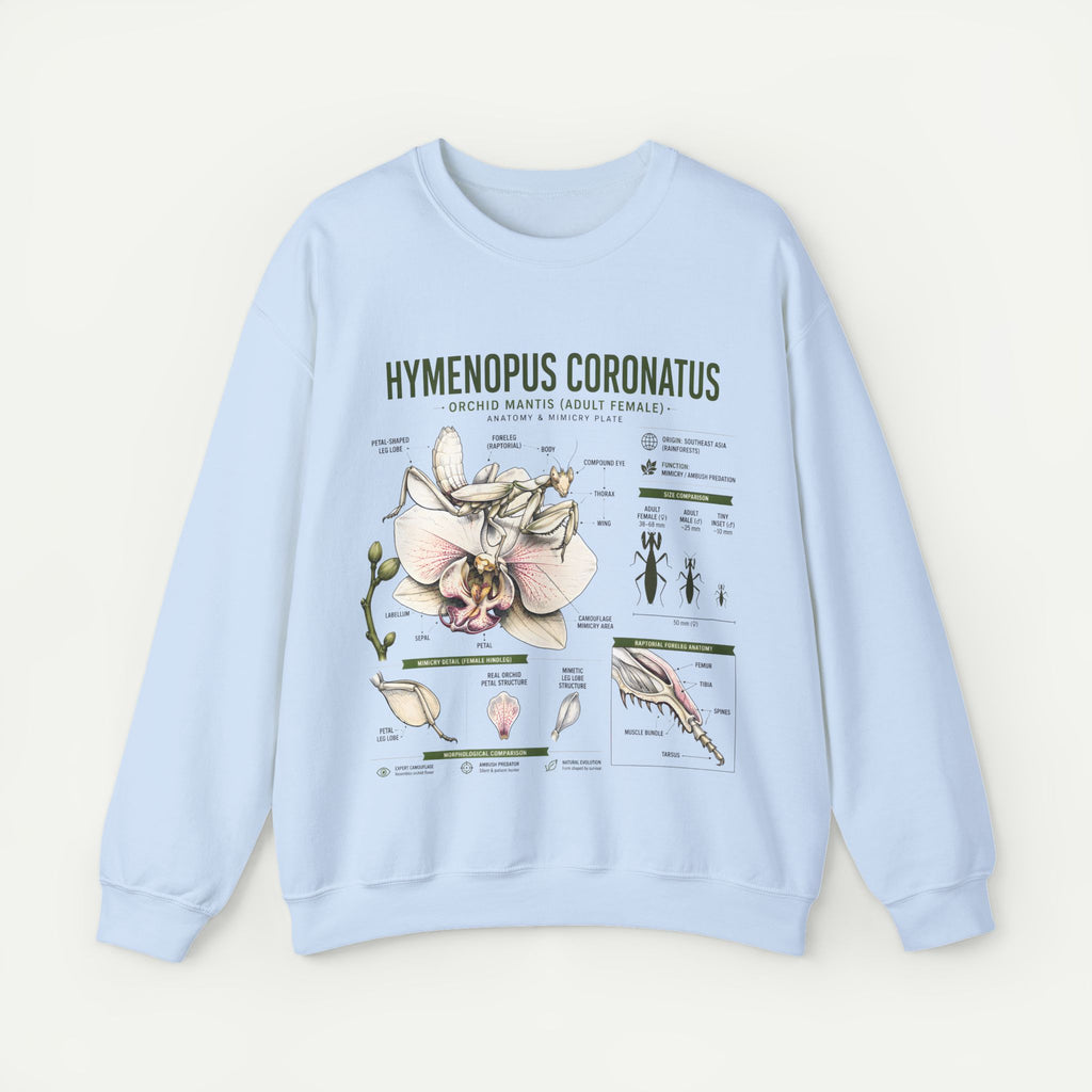 Botanical Anatomy Sweatshirt — Hymenopus Coronatus Illustration