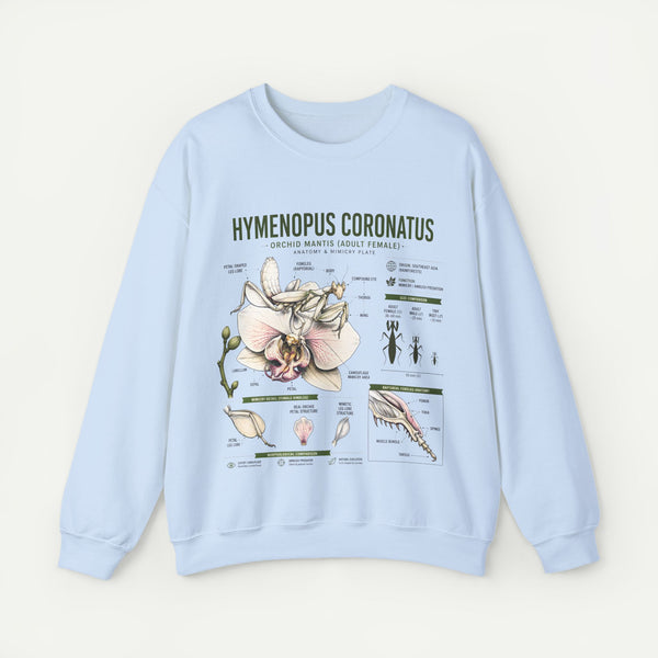 Botanical Anatomy Sweatshirt — Hymenopus Coronatus Illustration