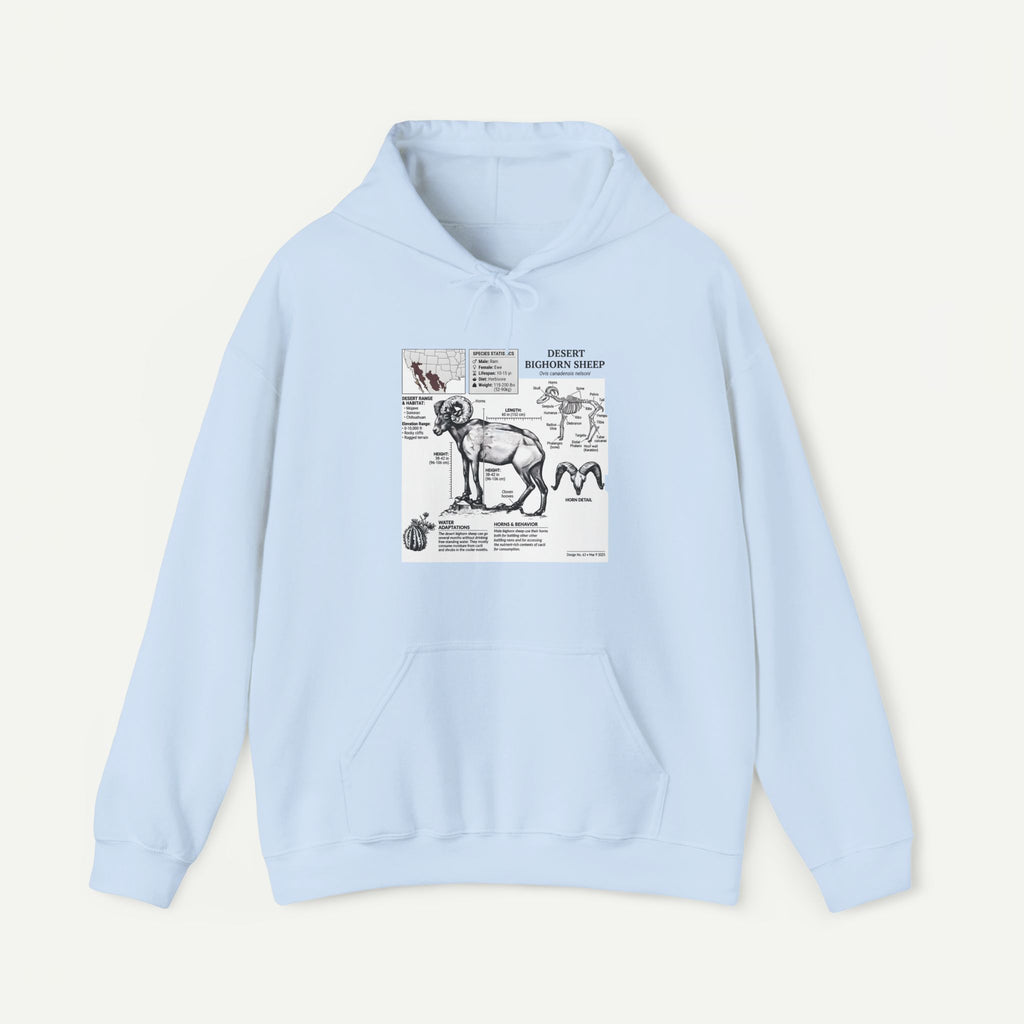 Dog Anatomy Hoodie – Vintage Canine Diagram Sweatshirt