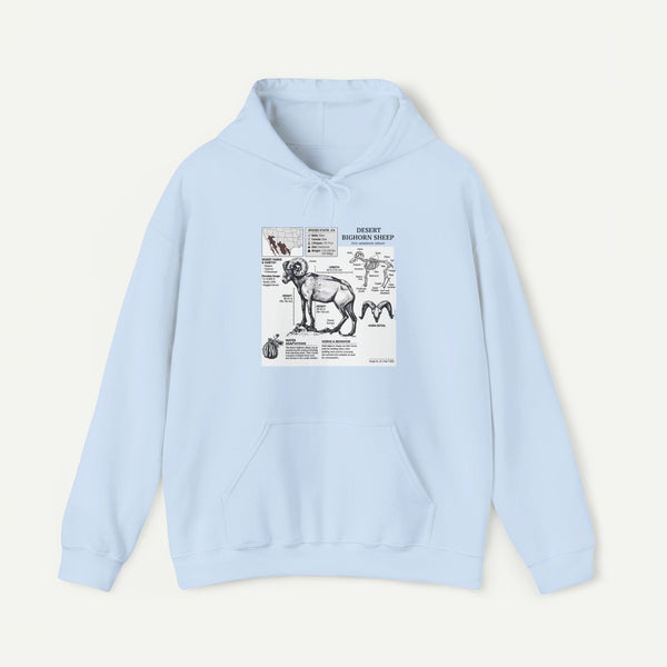 Dog Anatomy Hoodie – Vintage Canine Diagram Sweatshirt