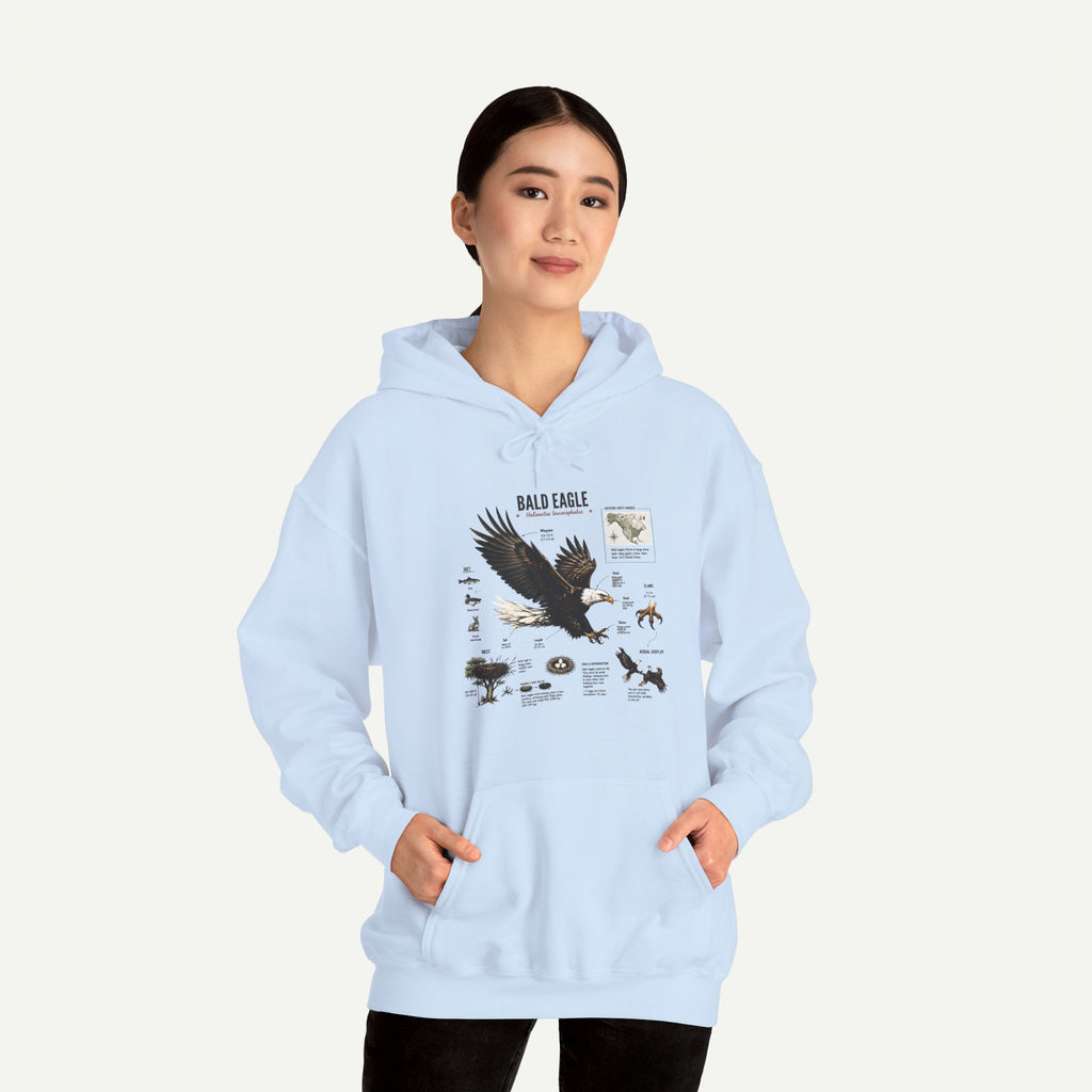 Eagle Graphic Hoodie — Bald Eagle Nature Print Sweatshirt