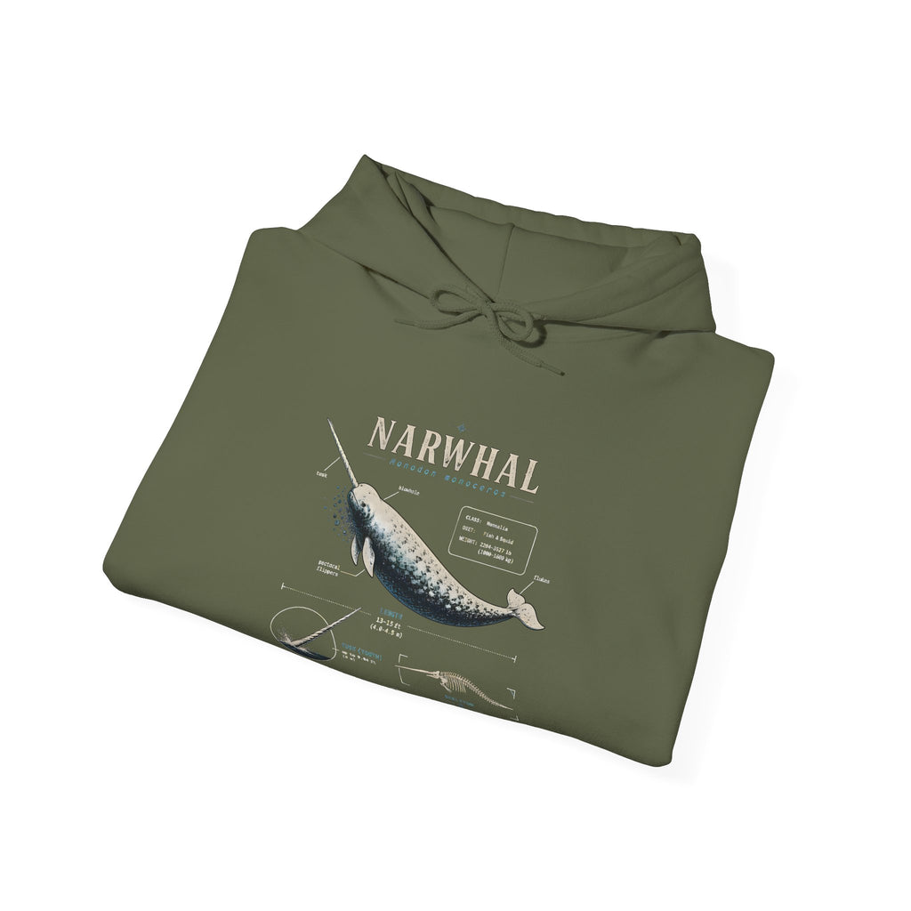 Narwhal Hoodie — Vintage Tailplane Illustration, Aviation Crew Sweatshirt