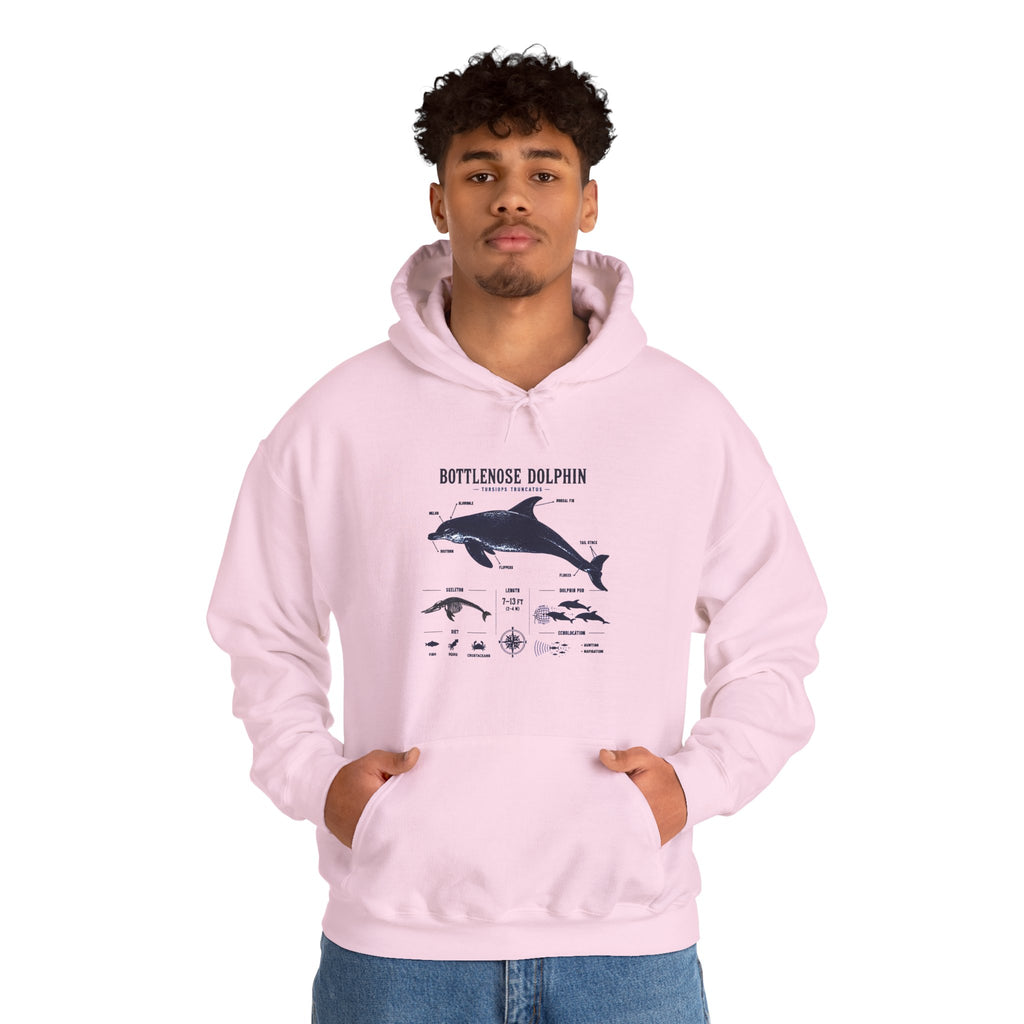 Bottlenose Dolphin Diagram Hoodie – Marine Life Anatomy Sweatshirt