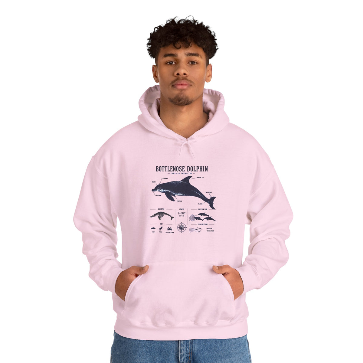 Bottlenose Dolphin Diagram Hoodie – Marine Life Anatomy Sweatshirt