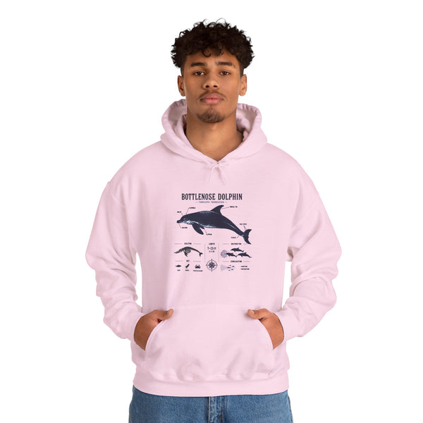 Bottlenose Dolphin Diagram Hoodie – Marine Life Anatomy Sweatshirt