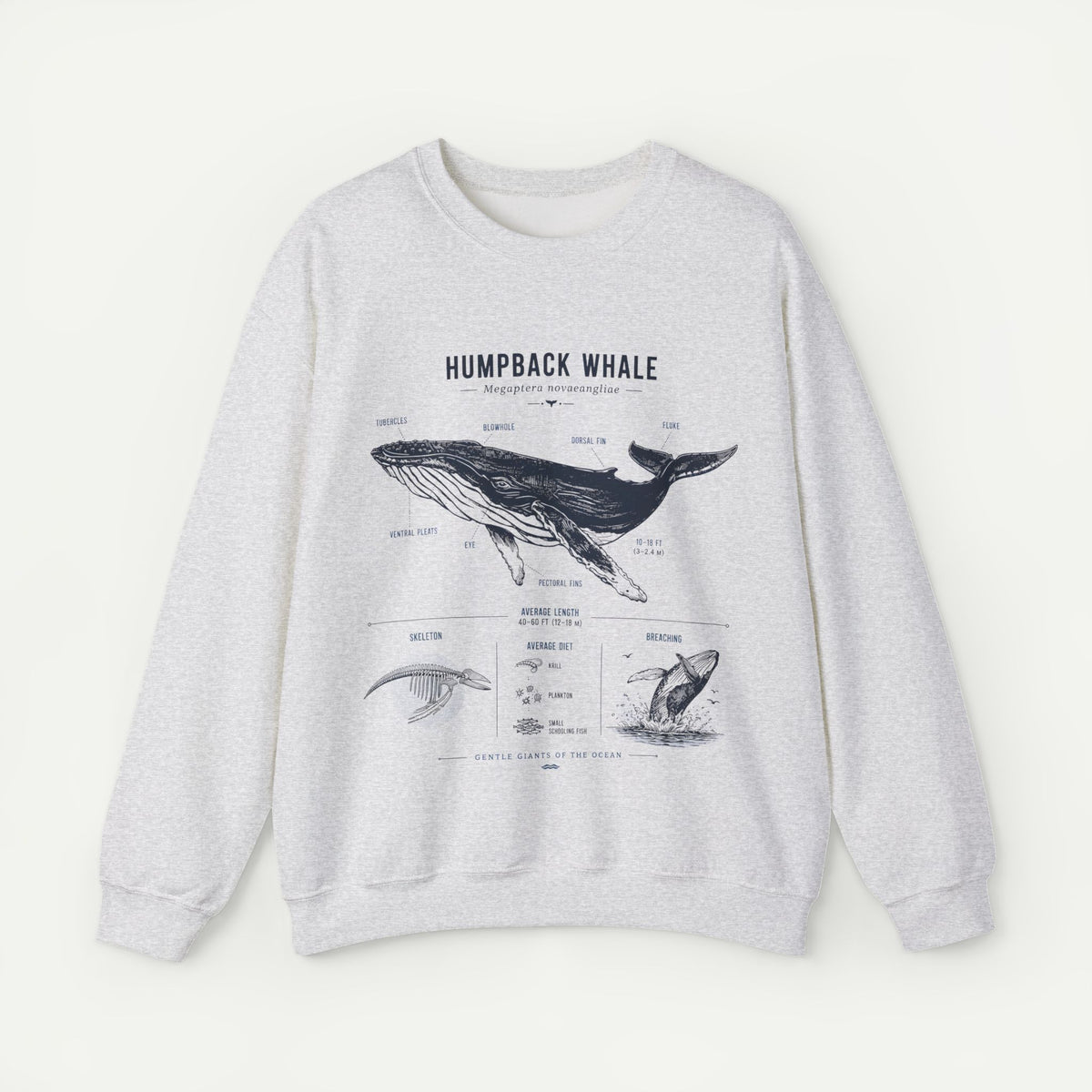 Humpback Whale Anatomy Sweatshirt