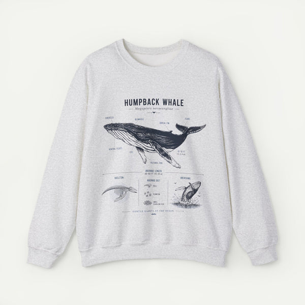 Humpback Whale Anatomy Sweatshirt