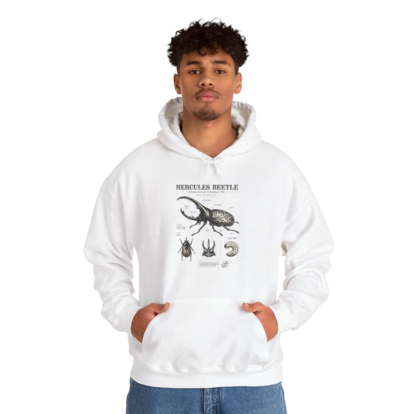 Hercules Beetle Anatomy Hoodie — Vintage Entomology Illustration Sweatshirt