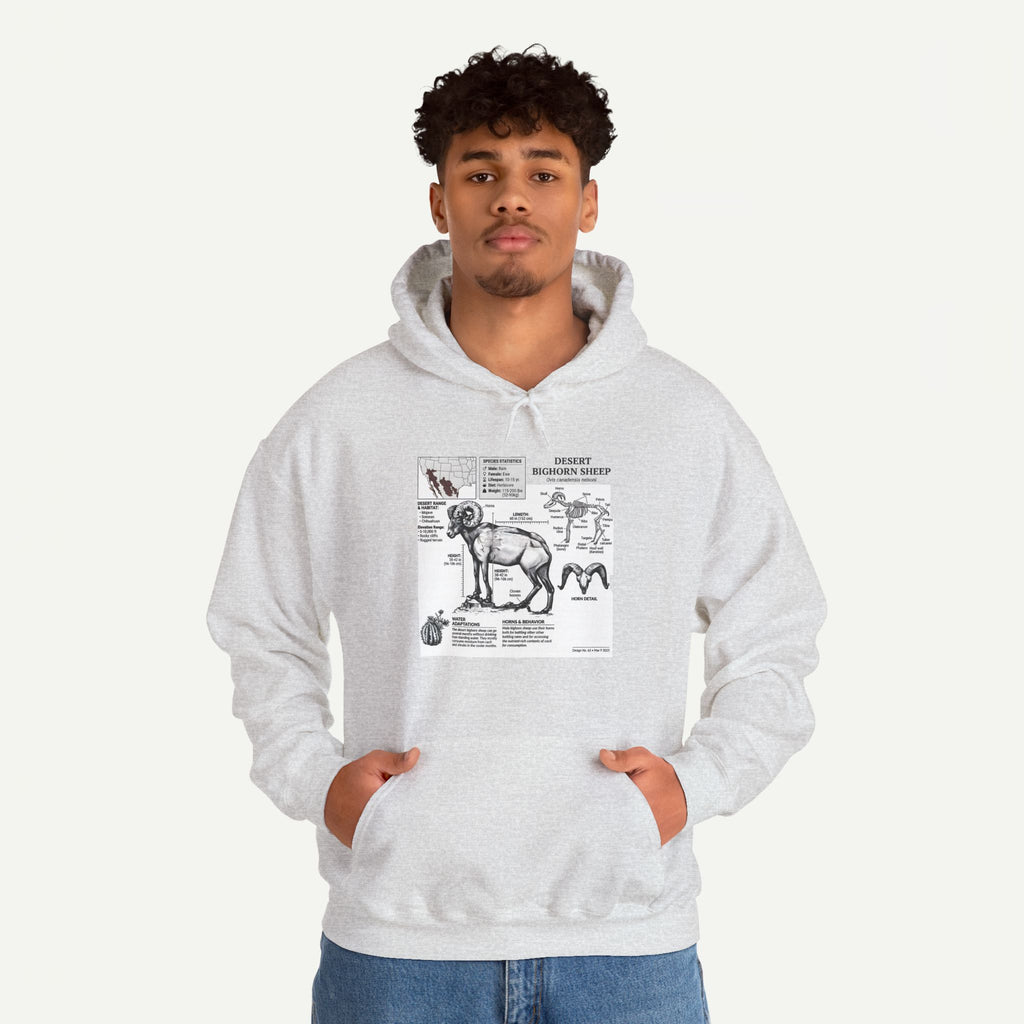 Dog Anatomy Hoodie – Vintage Canine Diagram Sweatshirt