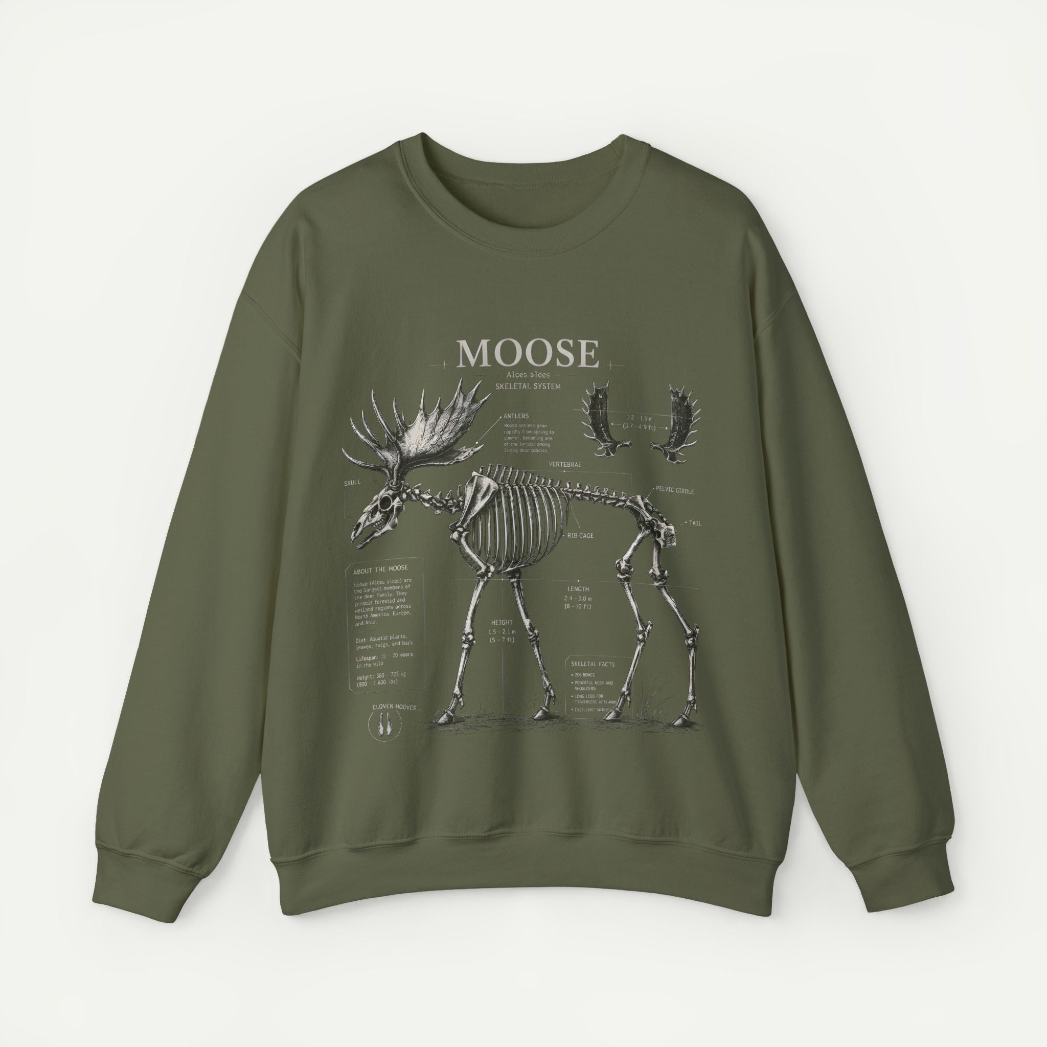 Moose Skeleton Anatomy Sweatshirt Secondary image