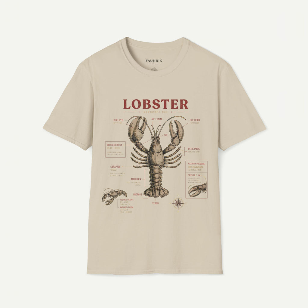 Lobster Anatomy T-Shirt — Vintage Nautical Seafood Diagram Tee