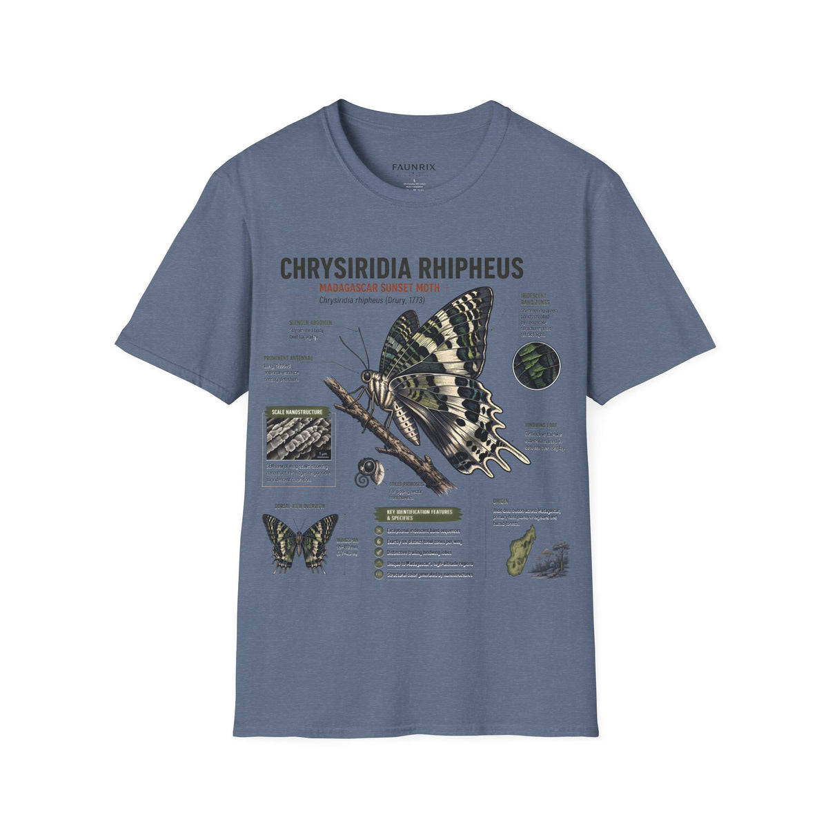 Moth Anatomy Tee — Chrysiridia Rhipheus Madagascar Sunset Moth Scientific Print