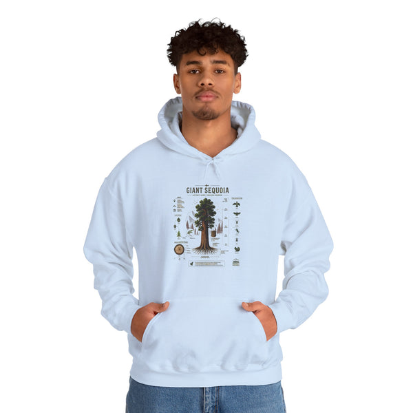 Giant Sequoia Botanical Hoodie — Vintage Tree Illustration & Facts
