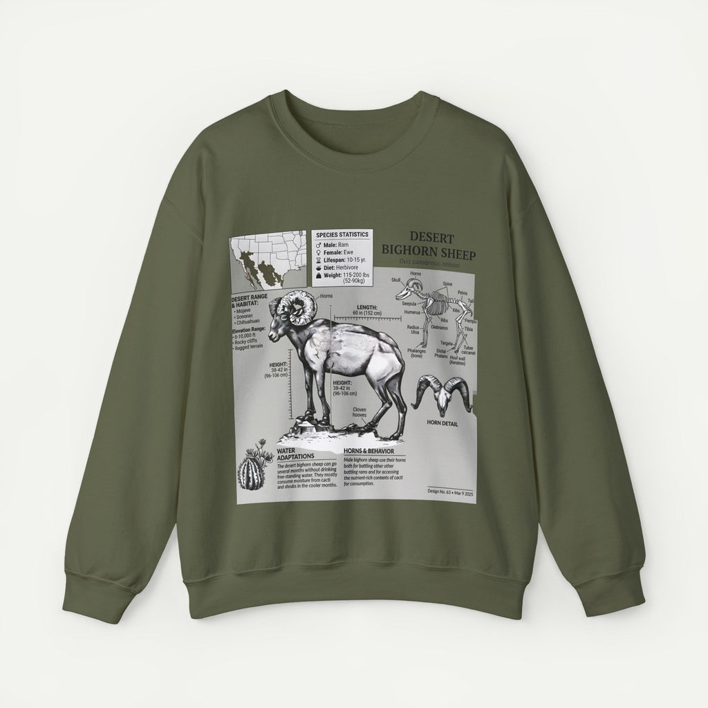 Desert Bighorn Sheep Anatomy Sweatshirt