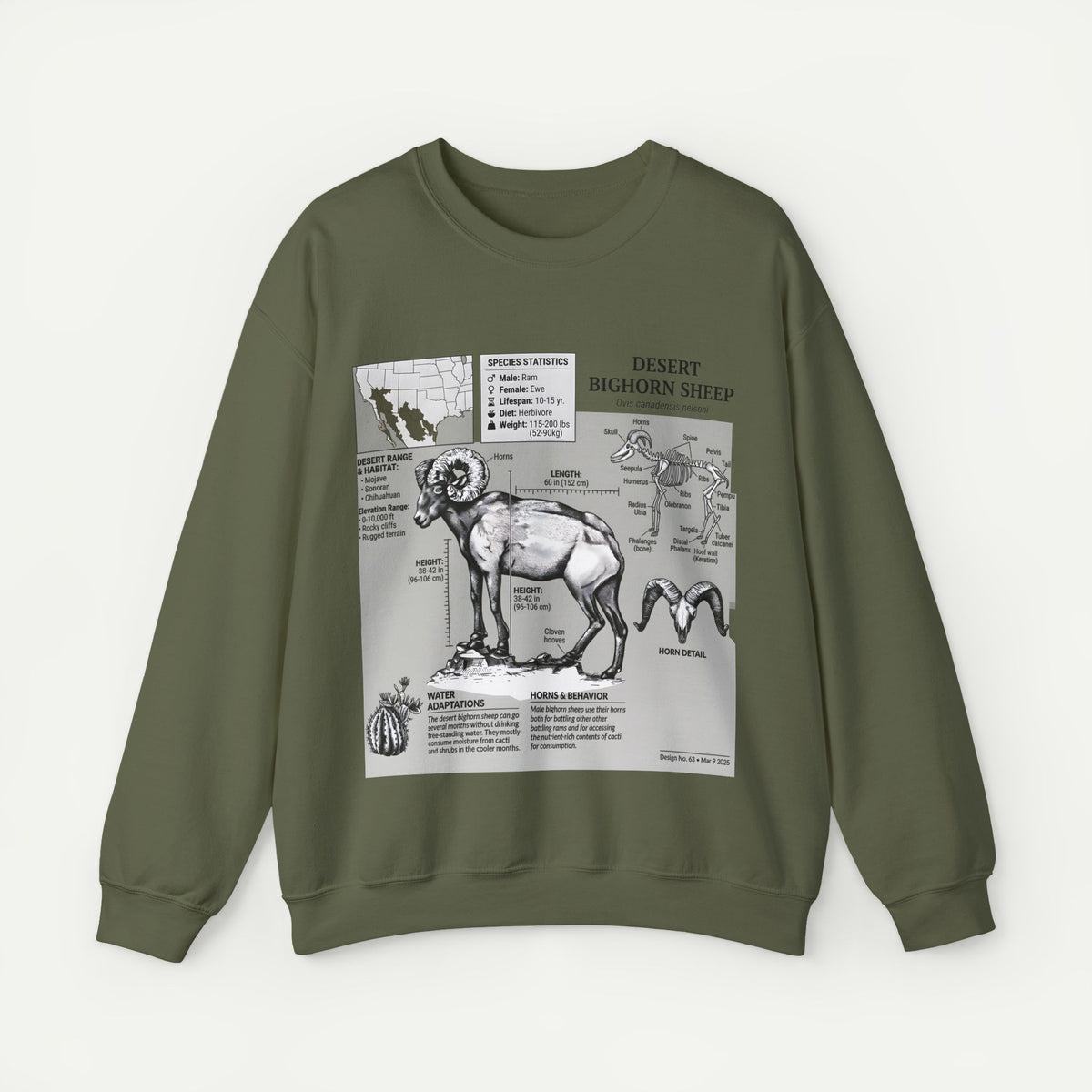 Desert Bighorn Sheep Anatomy Sweatshirt
