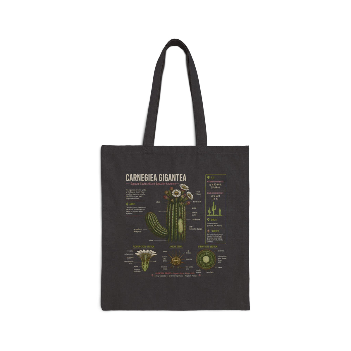 Cactus Anatomy Tote — Carnegiea Gigantea Botanical Diagram Canvas Bag Main image
