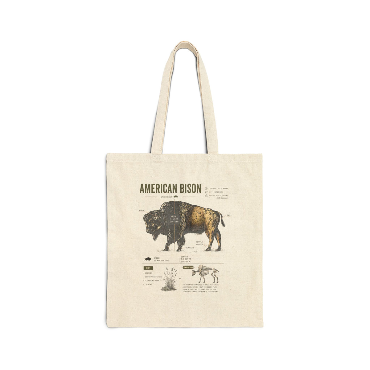 American Bison Anatomy  Canvas Tote Bag – Vintage Wildlife Illustration Eco Shopper Main image