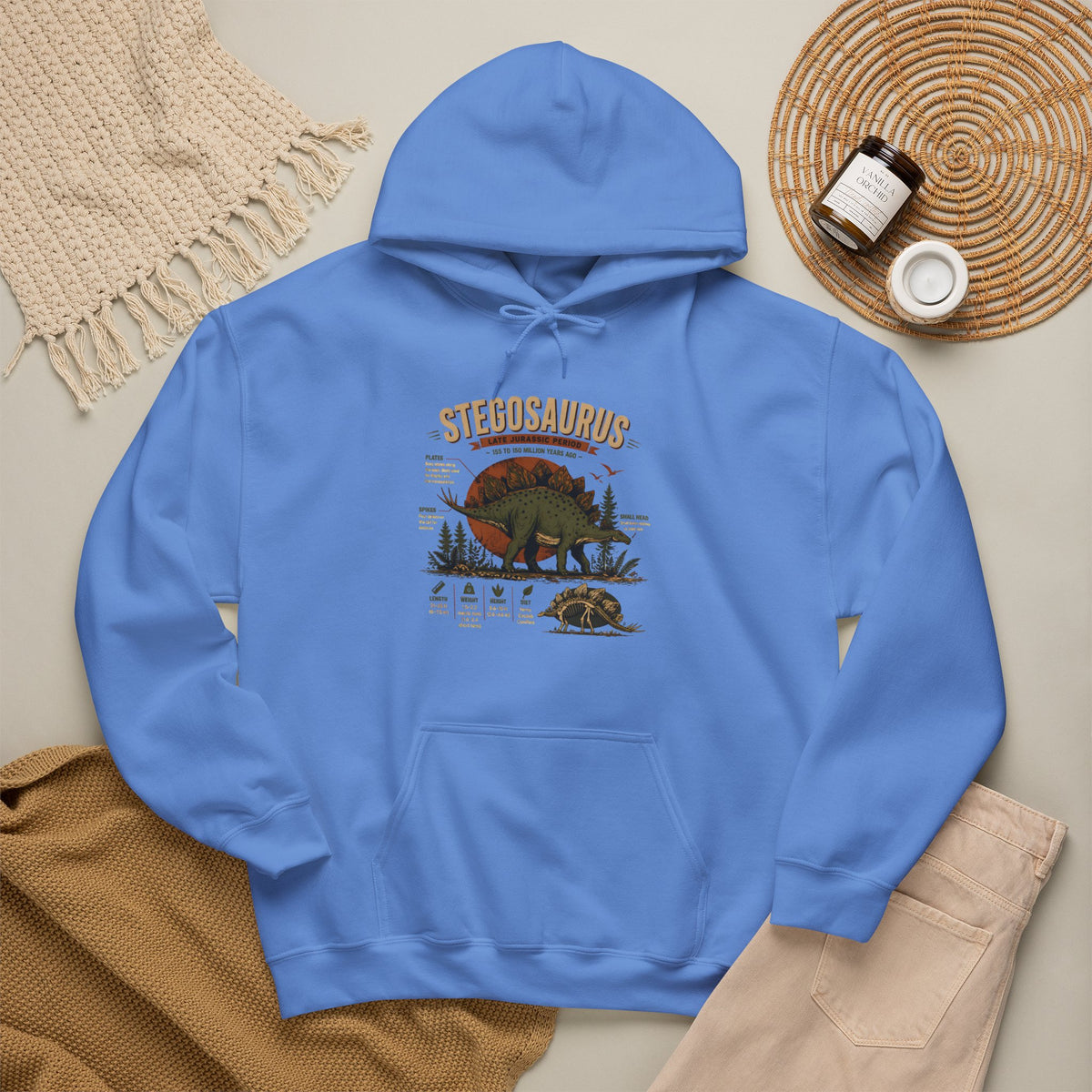 Stegosaurus Vintage Anatomy Hoodie – Retro Dino Nature Sweatshirt