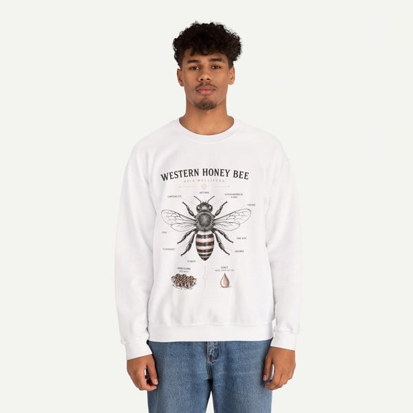 Western Honey Bee Sweatshirt — Vintage Bee Anatomy Graphic