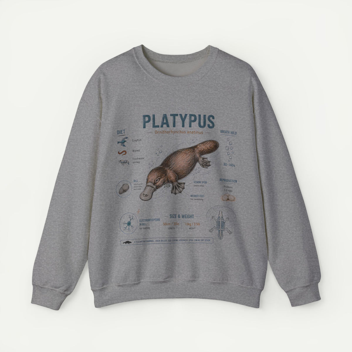 Platypus Anatomy Sweatshirt — Vintage Scientific Illustration